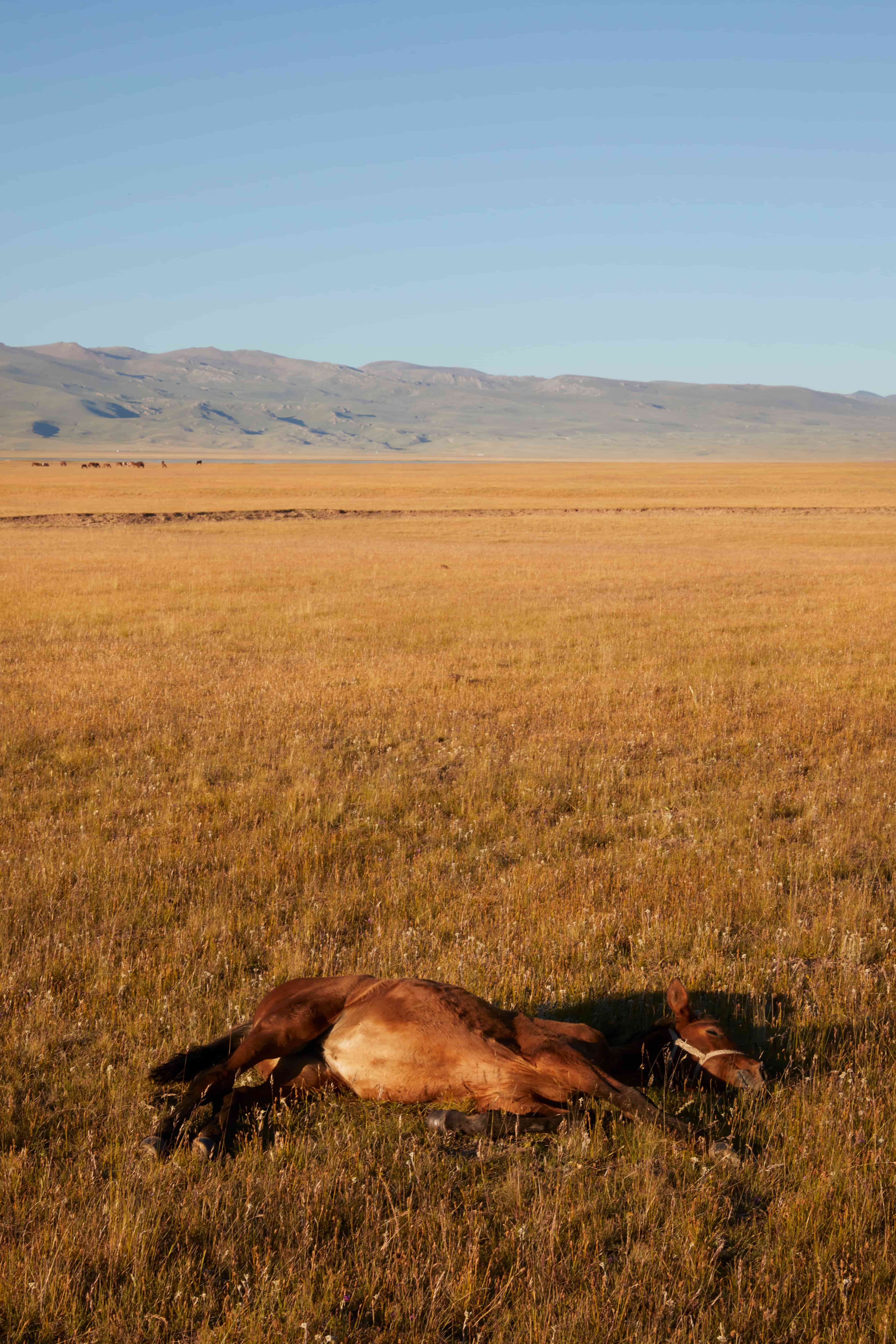 Kyrgyzstan